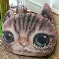 吃瓜网 热门大瓜胖猫,热门大瓜背后的胖猫故事