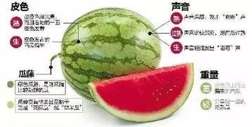 青田网红吃瓜群微信,揭秘网络红人的幕后故事